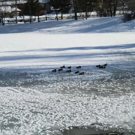 Neustift Near Stubai Glacier Skiing شقة *